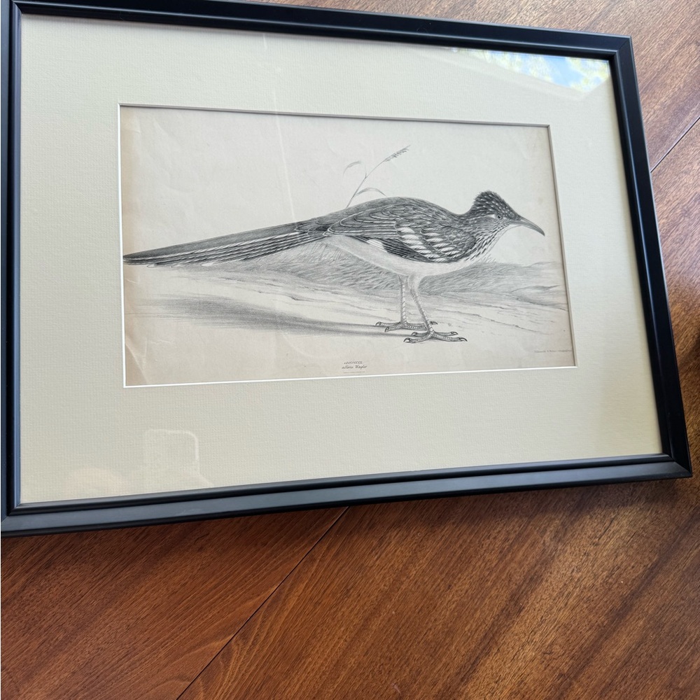Professionally framed Hullmandel & Walton lithograph